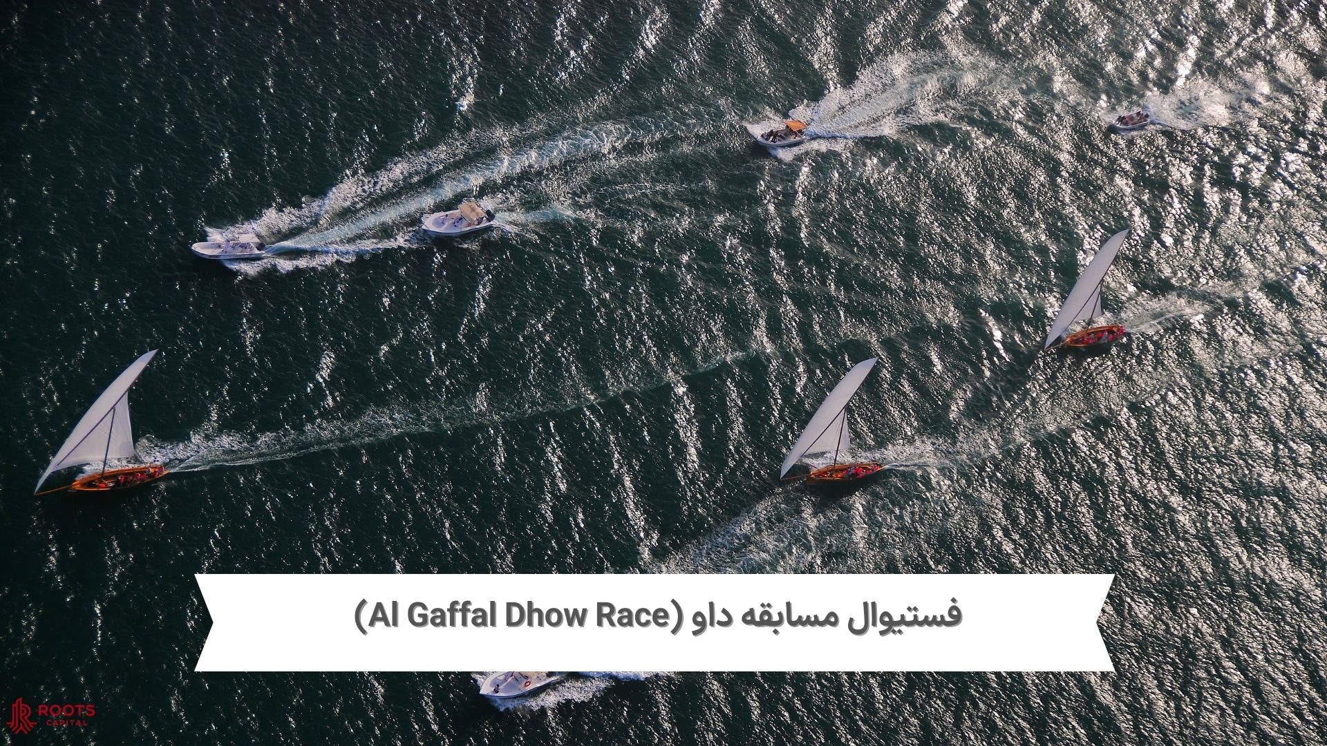 فستیوال مسابقه داو (Al Gaffal Dhow Race)